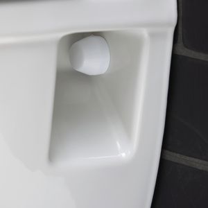 Bevestiging m.afdekkapjes wit/tbv wandbidet-closet