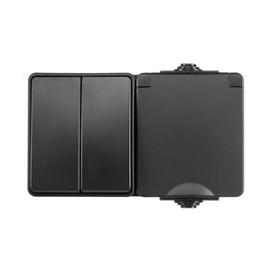 Opbouw Combinatie W.contactdoos en S.schak. Hor. IP55 VVE=8