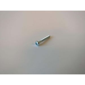 Schroef 35 x25 tbv Mercuria Ace H en E