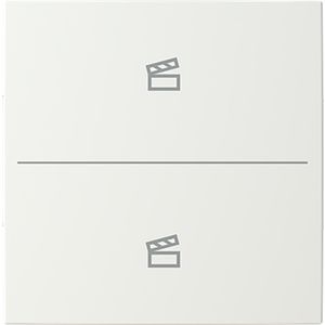 Centraalplaat afdekking 2v scenesymbool B-alpinwit (LFST/A.2.55.11-914)