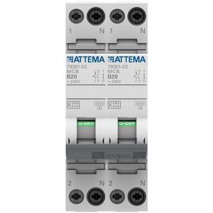 Installatieautomaat / fornuisgroep 2P+2N 20A B-karakteristiek