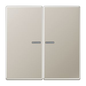 Stuurafdekking LS 2voudig edelstaal HOME