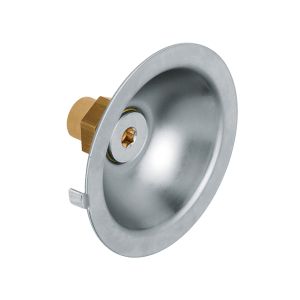 Gevelkom RVS 1/2" bi.dr.x15 mm