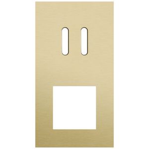 Afdekplaat 2-voud vertic. 71mm centerafst 227-56856