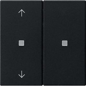 RF Multi bedieningselement-opzetstuk 2-voudig pijlen KNX System 55 zwart m