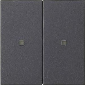 RF Multi bedieningselement-opzetstuk 2-voudig KNX System 55 antraciet