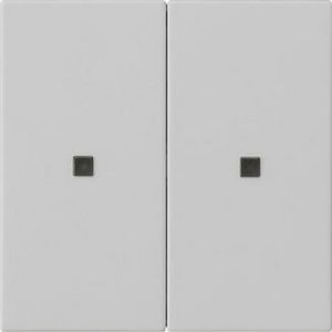 RF Multi bedieningselement-opzetstuk 2-voudig KNX System 55 grijs m