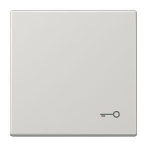 Schakelwip LS990 lichtgrijs m. symb. Sleutel