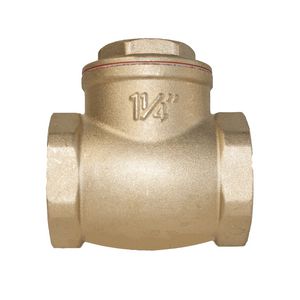 Pro Keerklep swing messing 1 1/4" BIN x 1 1/4" BIN