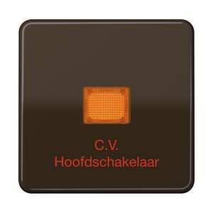 Schakelwip CD500 bruin slagvast met tekst CV