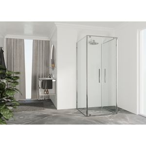 Draaideur 2-del. RIGA 2B 660-690x2000mm helder glas profiel chroom