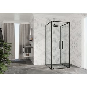 Draaideur 2-del. RIGA 2B 660-690x2000mm helder glas profiel zwart