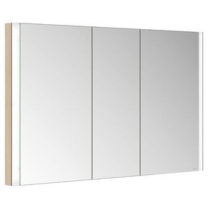 Spiegelkast Somaris 875x1320x270mm 14514853100