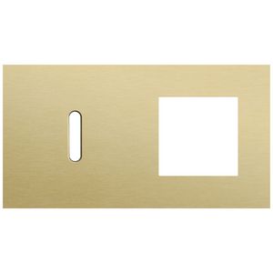 Afdekplaat 2-voud horiz. 71mm centerafst. 227-56805