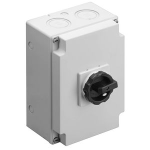Werkschakelaar 100 A 3-polig opbouw IP65 A434203