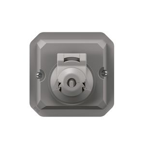 Adapter RJ45 mechanisme grijs Plexo