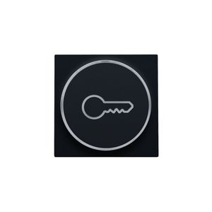 Afwerkingsset doorschijnende ring sleutelsymb. 6A black c.