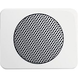 Centraalplaat voor radioluidspreker a-albast (8253-24G)
