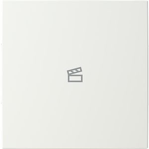 Centraalplaat afdekking 1v scenesymbool B-alpinwit (LFST/A.1.55.11-914)