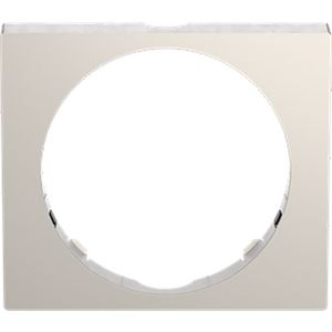 Design Busch-Wachter PRO afneembaar frame roestvrij staal (6851/DR-136)