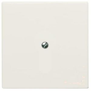 Centraalplaat blinde inb draag met draagraam IP44 A-w creme (2138-32)