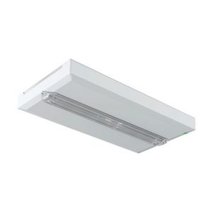 Noodverlichting opbouw decentraal 1uur AT 400lm