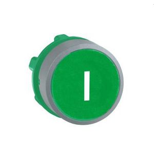 green flush pushbutton head white markedI" cp grey