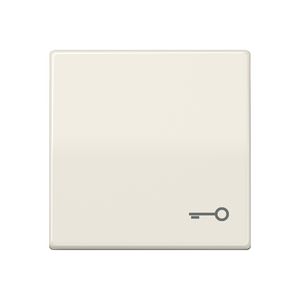 Schakelwip AS500 wit met symbool sleutel