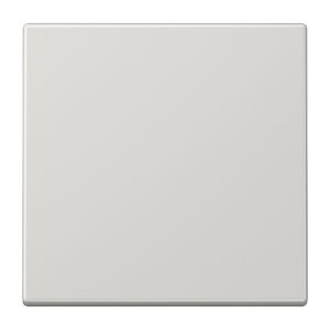 Bluetooth wandzender LS 2-kanaalslichtgrijs