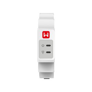 Accessoire Smart Meter GMK110 1-Fase incl. 1xCT 16mm 120A