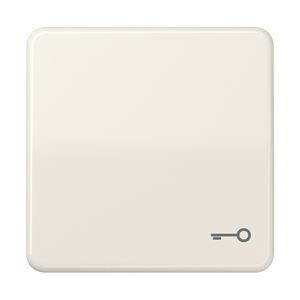 Schakelwip CD500 wit slagvast met sleutel
