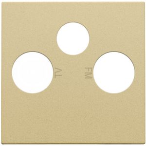 Afwerkingsset 2 enkelvoudige coaxaans. TV/FM/Satt. gold