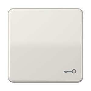Schakelwip CD500 li.gr.met symbool Sleutel