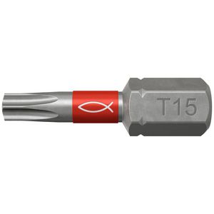 Set a 10st. Profi schroefbits FTB torx TX15