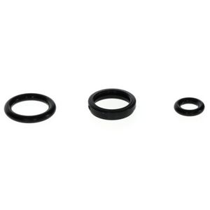 O-ring 87387068010