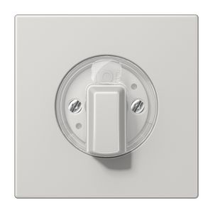 Afdekking draaischakelaar LS lichtgrijs