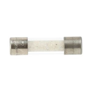 Micro zekering 250V 20x5mm 2A