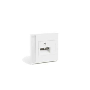 Afdekplaat data-aansluiting SIGNA 2-v 9010 80x82x11 poly