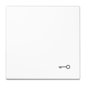 Schakelwip LS990 a.wit met symbool sleutel