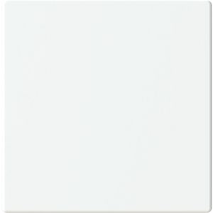 Centraalplaat afdekking Keypad 1v F/S platform 63 matwit (LFW/A.1.63.11-884)