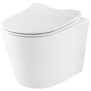 Wandcloset combipack Trend 520mm circular flush incl. zitting Projecta D Solid Pro 1008