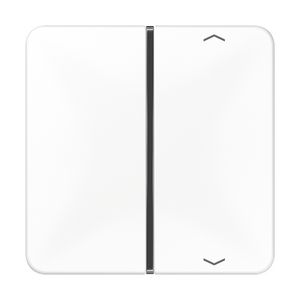 Tastafdekking 1-voudig pijl CD alpinwit KNX