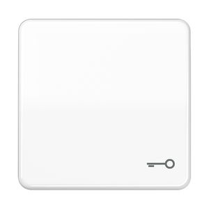 Schakelwip CD500 a.wit slagvast met sleutel