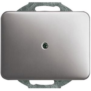 Centraalplaat blind a-platin