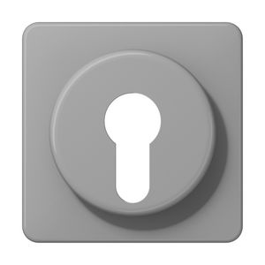 Afdekking grijs voor sleutelschak. CD500