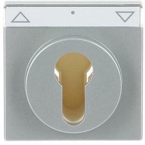 Centraalplaat inb 2733 USL-101 sokkel f-aluzilver (1755 SL/PZ-83-101)