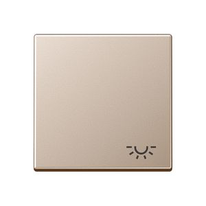 Schakelwip lampsymbool A500 champagne