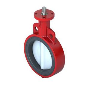 Butterfly Valve 250 mm 2-Way Flanged Lug ASTM 4670 kvs