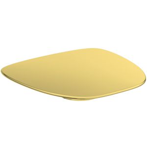 Afvoerafdekking tbv vrijstaand bad brushed gold cover DEA