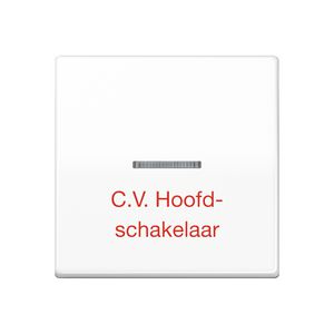 Schakelwip AS500 WW slagvast met tekst CV.